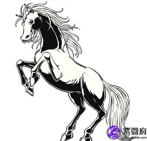 15歲屬馬的是什么星座