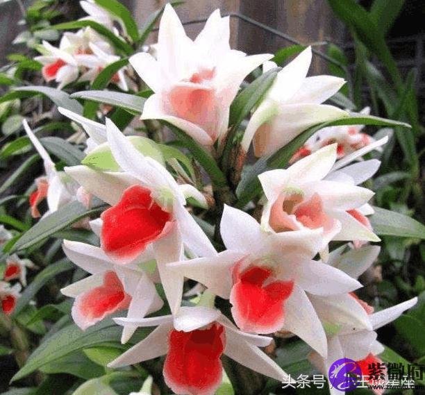 嫁給什么星座男最不幸