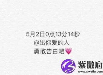 2004年2月2日是什么星座的