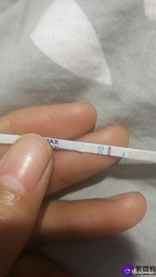 1995年農歷臘月初四是什么星座