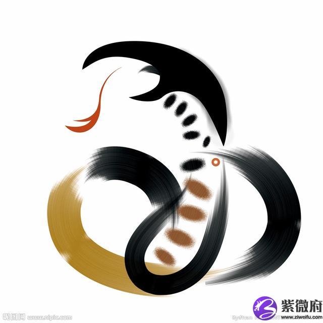 屬蛇的人是啥星座