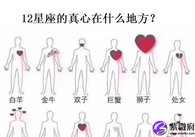 12星座的動畫頭象
