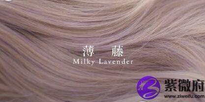 十二星座的玩偶圖片大全圖片