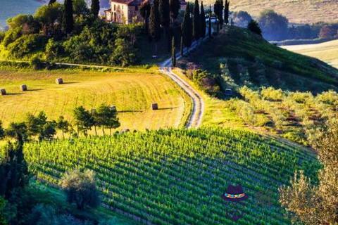 星體學雙魚座是什么星球守護的