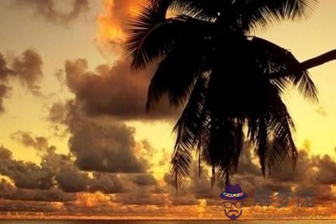 金牛座2021愛情預報看感情走向