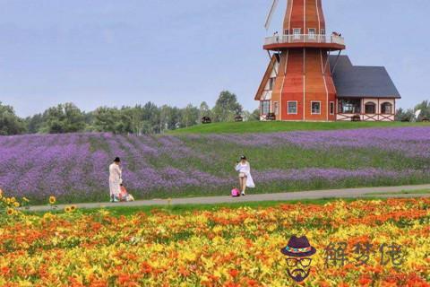 水瓶座2021愛情預報看感情走向