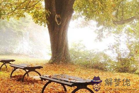 上升摩羯座命好不好性格好嗎