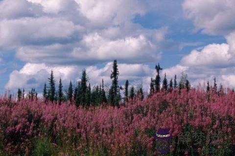 水瓶座冷暴力嗎 當水瓶座對你冷暴力的時候會如何