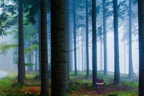 天秤座的婚姻順利嗎 天秤座一生感情婚姻經歷