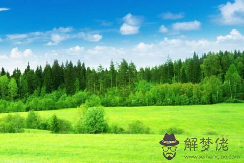 2021年處女座每月運勢1月運勢走向