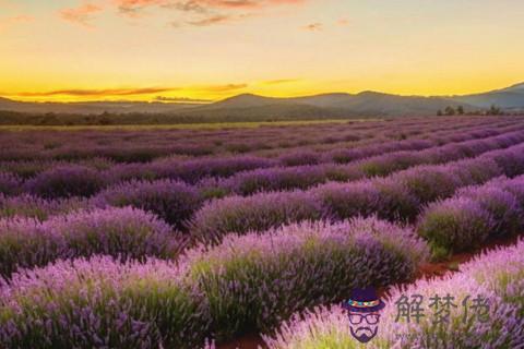 射手座對待感情什么樣 射手座性格愛情觀