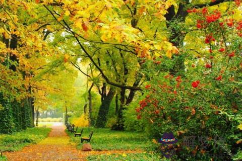 白羊座情感語錄 白羊座人生格言是什么