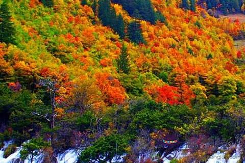 金牛座情感語錄 金牛座人生格言是什么