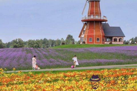 處女座情感語錄 處女座人生格言是什么