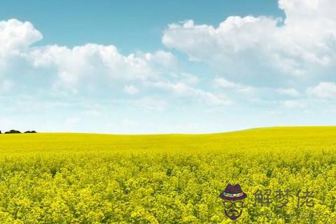 射手座情感語錄 射手座人生格言是什么