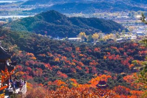 白羊座冷暴力嗎 當白羊座對你冷暴力的時候會如何