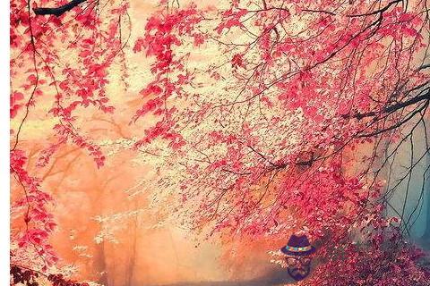 雙子座冷暴力嗎 當雙子座對你冷暴力的時候會如何