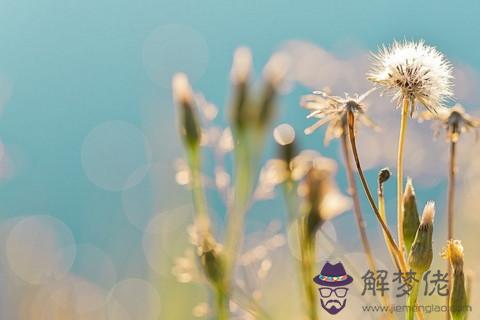 獅子座冷暴力嗎 當獅子座對你冷暴力的時候會如何