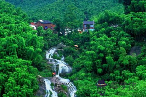 獅子座對待感情什么樣 獅子座性格愛情觀