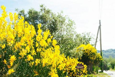 2020年處女座十二月運勢 2020年處女座12月運勢解析