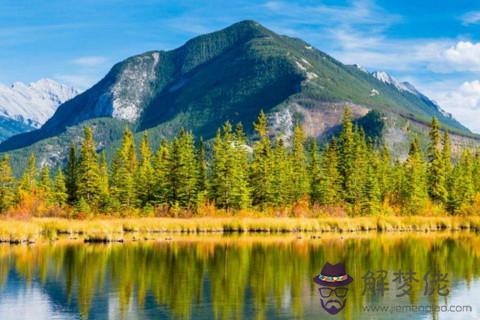 金牛座的命好不好 金牛座一輩子是什么命