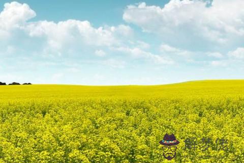 處女座的命好不好 處女座一輩子是什么命