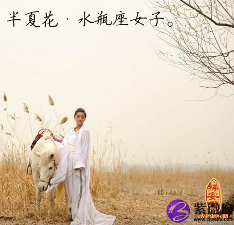 水瓶座最擅長什麼 解夢佬 水瓶座最擅長什麼 解夢佬