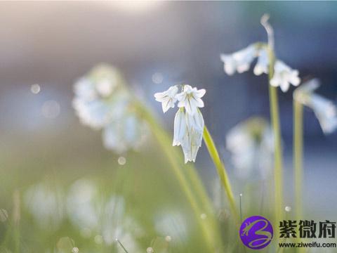 處女座生日密碼破解 解夢佬 處女座生日密碼破解 解夢佬