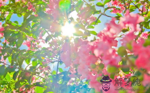 18年2月1日生日命運 解夢佬