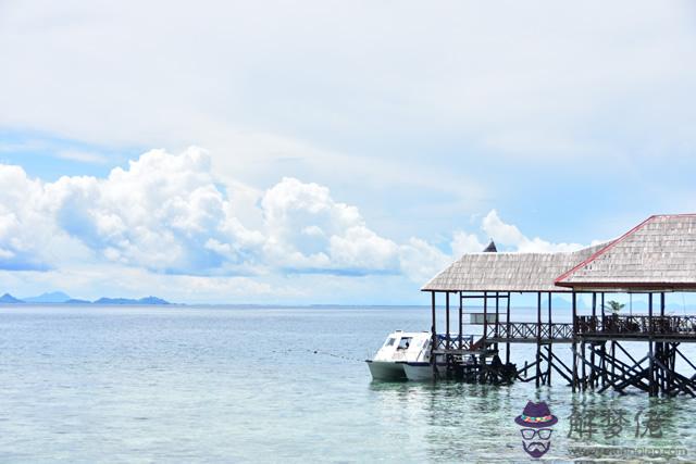 瑪法達12星座運勢 大預言 解夢佬