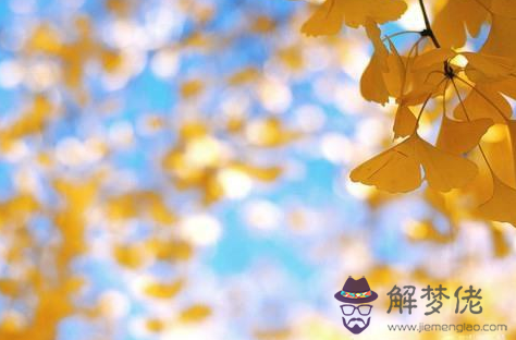 1月5日生日命運 解夢佬 1月5日生日命運 解夢佬