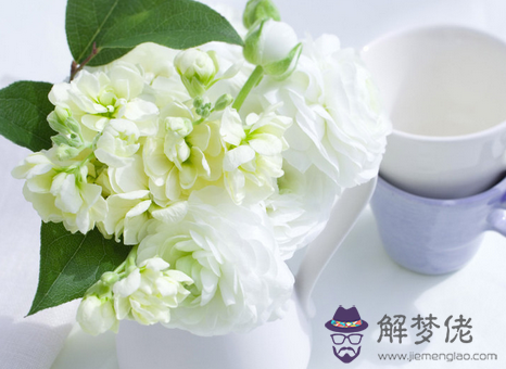 17年9月7日生日命運 解夢佬