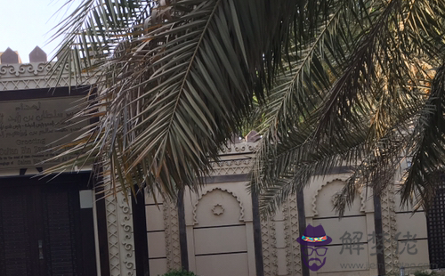 18年11月6日生日命運 解夢佬