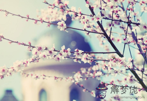 1月22日生日命運 解夢佬 1月22日生日命運 解夢佬