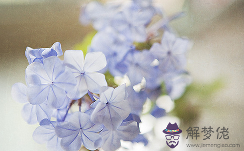 17年11月30日生日命運 解夢佬