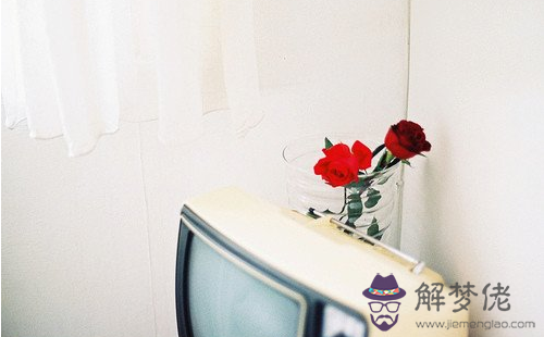 17年11月日生日命運 解夢佬 17年11月日生日命運 解夢佬