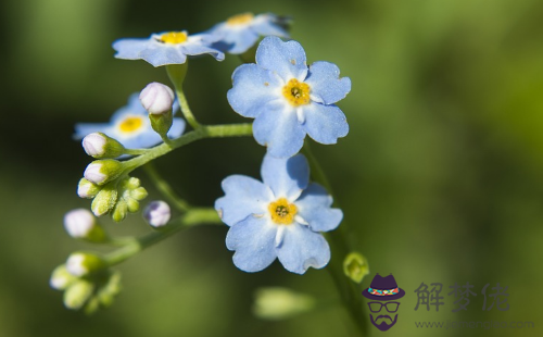 18年3月日生日命運 解夢佬 18年3月日生日命運 解夢佬
