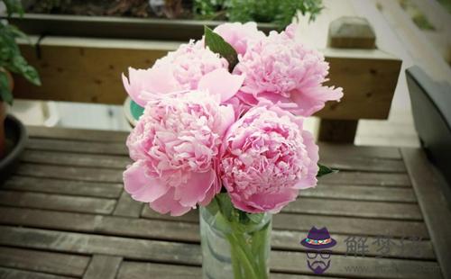 十二星座4月22日 4月28的運程 上 解夢佬