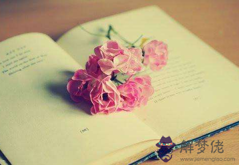 1994年2月8日生日命運 解夢佬