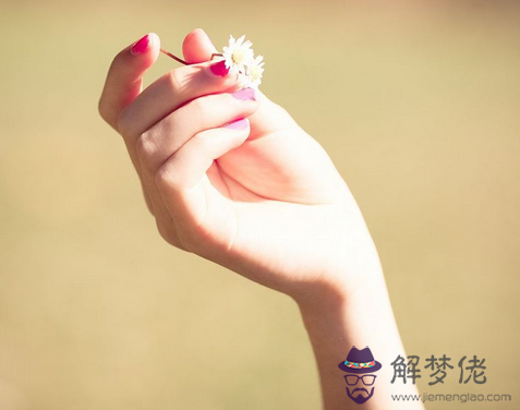 射手座女性魅力詳解 解夢佬