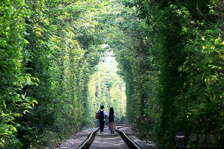 Ab型獅子座女生的最佳配對活潑天真卻不簡單 解夢佬