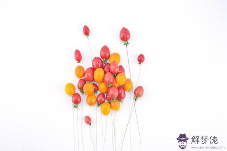 陽歷4月11日是什麼星座性格急躁缺乏耐心 解夢佬