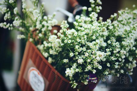 藤井樹之2016年下半年運氣最好的星座