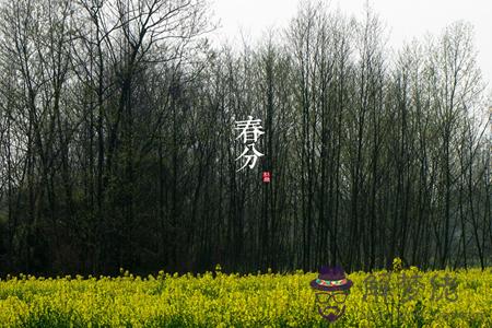 12星座春分后一周的約會佳日 12星座春分后一周的約會佳日