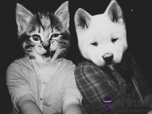 12星座男人信不過的話