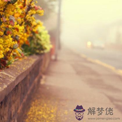 18年11月18日 11月24日星座情感運勢 解夢佬