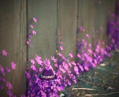 生命要有裂縫,陽光才照得進來,美好才能生長。