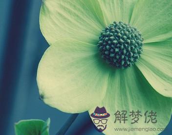 點擊進入下一頁