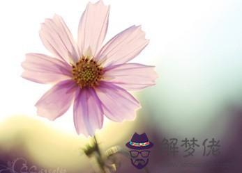 點擊進入下一頁