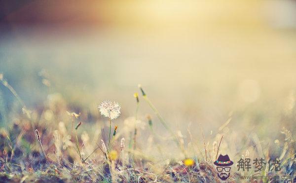 唯美 風景 旅行攝影